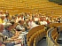 Probe_UniDortmund15.jpg