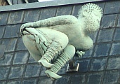 93c_alter_markt_kallendrisser.jpg
