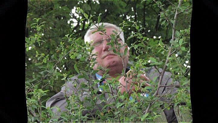 05_buschmann.jpg