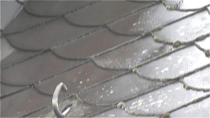 20_regentag_01.jpg