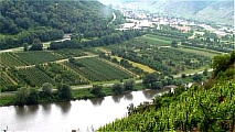 04_moselblick_01.jpg