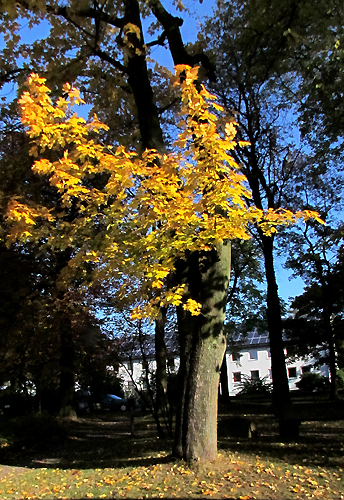 40_herbststimmun.JPG