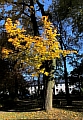 40_herbststimmun.JPG