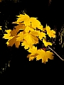 74_herbst_stimmung.JPG