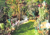 31_widder_daheim.JPG